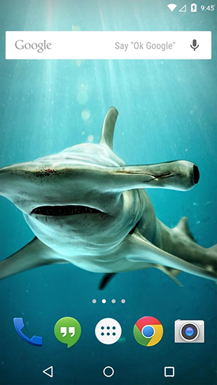 Full version of Android apk livewallpaper Underwater animals for tablet and phone.