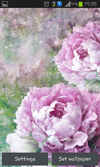 Full version of Android apk livewallpaper Vintage roses for tablet and phone.