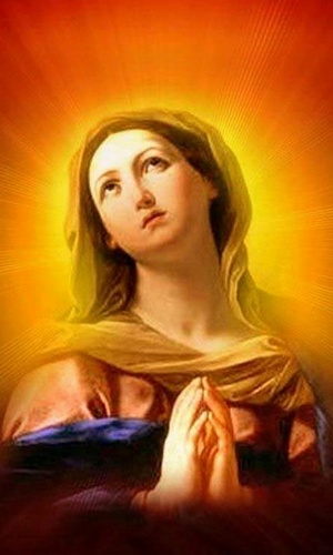 Full version of Android apk livewallpaper Virgin Mary for tablet and phone.