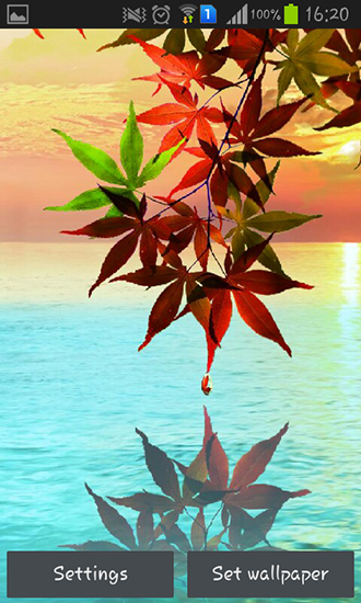 Full version of Android apk livewallpaper Water drop: Flowers and leaves for tablet and phone.