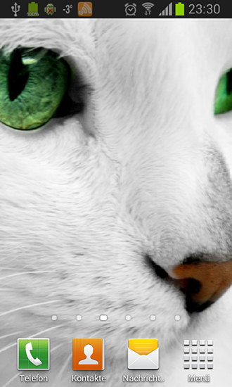 Full version of Android apk livewallpaper White cats for tablet and phone.