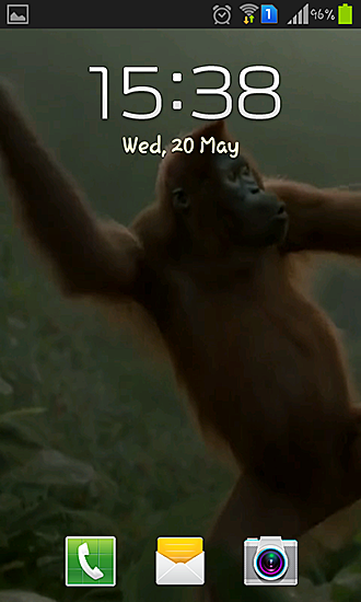Full version of Android apk livewallpaper Wild dance crazy monkey for tablet and phone.