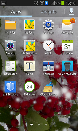 Full version of Android apk livewallpaper Winter berry for tablet and phone.