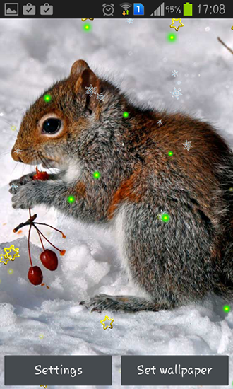 Full version of Android apk livewallpaper Winter squirrel for tablet and phone.