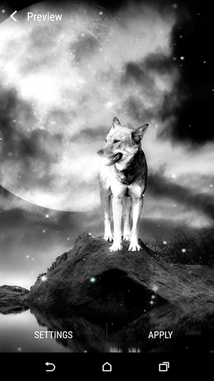 Full version of Android apk livewallpaper Wolf and Moon for tablet and phone.