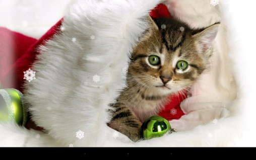 Full version of Android apk livewallpaper X-mas cat for tablet and phone.