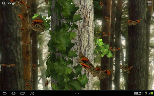 Full version of Android apk livewallpaper Butterfly 3D for tablet and phone.
