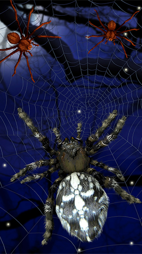 Spider by Cosmic Mobile Wallpapers