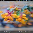 Download live wallpaper 1031 flowers for free and Nature by Red Stonz for Android phones and tablets .