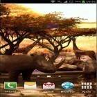 Download live wallpaper Africa 3D for free and Neon bubbles for Android phones and tablets .