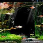 Download live wallpaper Aquarium by minatodev for free and Lightning for Android phones and tablets .