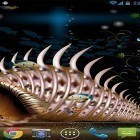 Download live wallpaper Aquarium by orchid for free and Doodle art for Android phones and tablets .