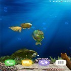 Download live wallpaper Aquarium fish 3D by BlackBird Wallpapers for free and Potus 3012 for Android phones and tablets .