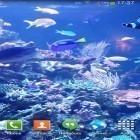 Download live wallpaper Aquarium HD 2 for free and Snow winter for Android phones and tablets .