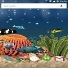 Download live wallpaper Aquarium for free and Sea by JimmyTummy for Android phones and tablets .