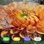 Download live wallpaper Autumn and winter flowers for free and Leaves by orchid for Android phones and tablets .
