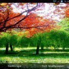 Download live wallpaper Autumn by minatodev for free and Lightning for Android phones and tablets .