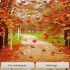 Download live wallpaper Autumn by SubMad Group for free and Gentlecat for Android phones and tablets .