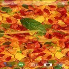 Download live wallpaper Autumn Leaves for free and Pussycat for Android phones and tablets .