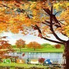 Download live wallpaper Autumn pond for free and Thunderstorm by live wallpaper HongKong for Android phones and tablets .