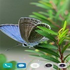 Download live wallpaper Beautiful summer by BlackBird Wallpapers for free and Potus 3012 for Android phones and tablets .