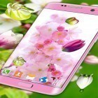 Download live wallpaper Blossoms 3D for free and Magic garden by Jango LWP Studio for Android phones and tablets .