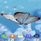 Download live wallpaper Butterfly by Free Wallpapers and Backgrounds for free and Christmas tree 3D by Zbigniew Ross for Android phones and tablets .