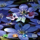 Download live wallpaper Butterfly by Live Wallpapers 3D for free and Cute cat by Psii for Android phones and tablets .