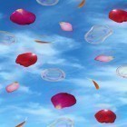 Download live wallpaper Clouds for free and Magic by AppQueen Inc. for Android phones and tablets .