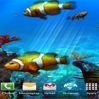 Download live wallpaper Clownfish aquarium 3D for free and Cartoon night town 3D for Android phones and tablets .