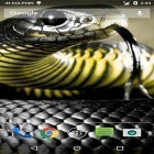 Download live wallpaper Cobra attack for free and Dolphins for Android phones and tablets .