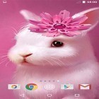 Download live wallpaper Cute animals by MISVI Apps for Your Phone for free and Plasticine flowers for Android phones and tablets .