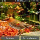 Download live wallpaper Cute birds for free and Autumn river HD for Android phones and tablets .