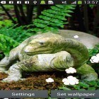 Download live wallpaper Dinosaur by Latest Live Wallpapers for free and Spring buds for Android phones and tablets .