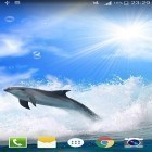 Dolphin by Live wallpaper HD apk - download free live wallpapers for Android phones and tablets.