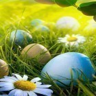 Download live wallpaper Easter by HQ Awesome Live Wallpaper for free and Betta fish for Android phones and tablets .