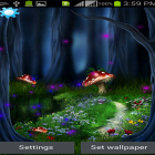 Download live wallpaper Fantasy magic touch for free and Storm sounds for Android phones and tablets .