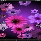 Download live wallpaper Flowers by PanSoft for free and Happy for Android phones and tablets .