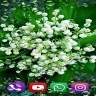 Download live wallpaper Forest lilies for free and Planet X 3D for Android phones and tablets .