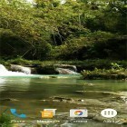Download live wallpaper Forest stream for free and Christmas cat for Android phones and tablets .