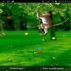 Download live wallpaper Funny monkey by Galaxy Launcher for free and Wave for Android phones and tablets .