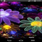 Download live wallpaper Glowing flowers by My Live Wallpaper for free and Chameleon Color Adapting for Android phones and tablets .