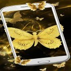 Download live wallpaper Gold butterfly for free and Tigers for Android phones and tablets .