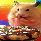 Download live wallpaper Hamster for free and Rainy flowers for Android phones and tablets .