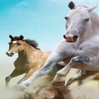 Download live wallpaper Horse by Happy live wallpapers for free and Space 3D by Amax LWPS for Android phones and tablets .
