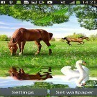 Download live wallpaper Horses by Latest Live Wallpapers for free and Christmas for Android phones and tablets .
