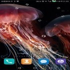 Download live wallpaper Jellyfish by live wallpaper HongKong for free and Blue flowers by Jacal video live wallpapers for Android phones and tablets .