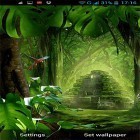 Download live wallpaper Jungle by LWP World for free and The real aquarium for Android phones and tablets .