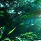 Download live wallpaper Jungle by Pro Live Wallpapers for free and Bamboo grove 3D for Android phones and tablets .