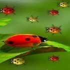 Download live wallpaper Ladybugs by 3D HD Moving Live Wallpapers Magic Touch Clocks for free and Christmas party for Android phones and tablets .
